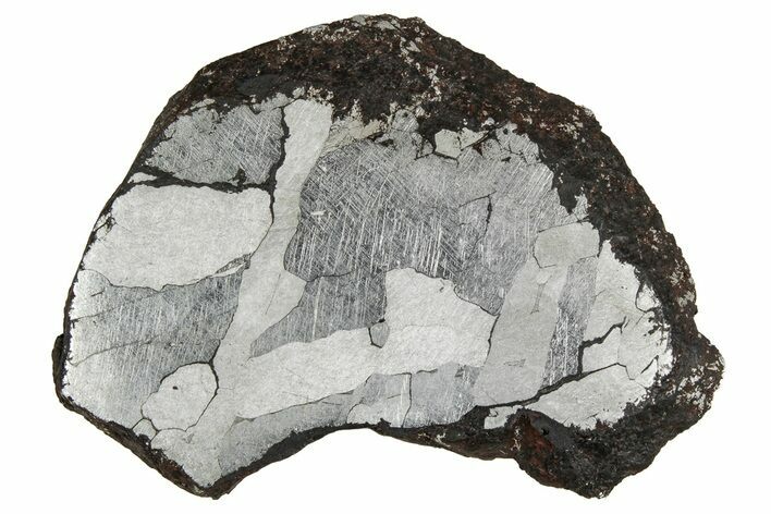 Etched Canyon Diablo Meteorite Slice ( g) - Arizona #356041